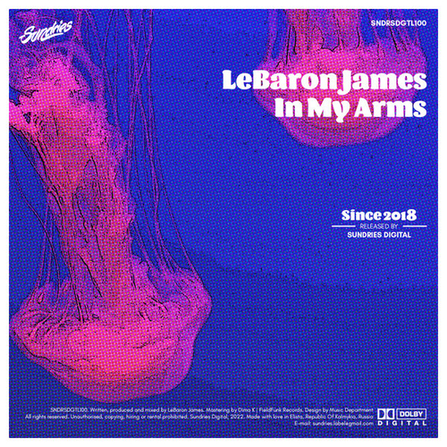 LeBaron James - In My Arms [SNDRSDGTL100]